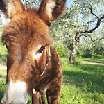 빌라 Casa O' - Moderne Mit Grosser Terrasse Und Privatem Swimmingpool *